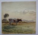 Cow in Field (Peckham 1830)