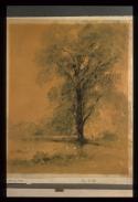 Dulwich, Study of Trees