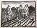 Man Ploughing