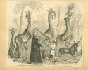 Surrey Zoological Gardens 1843