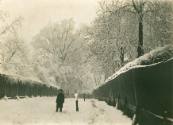 Green Lane. 1884-5