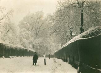 Green Lane. 1884-5