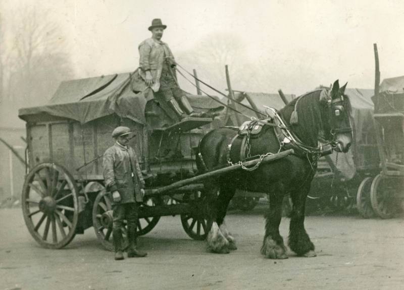 Horses, 1933