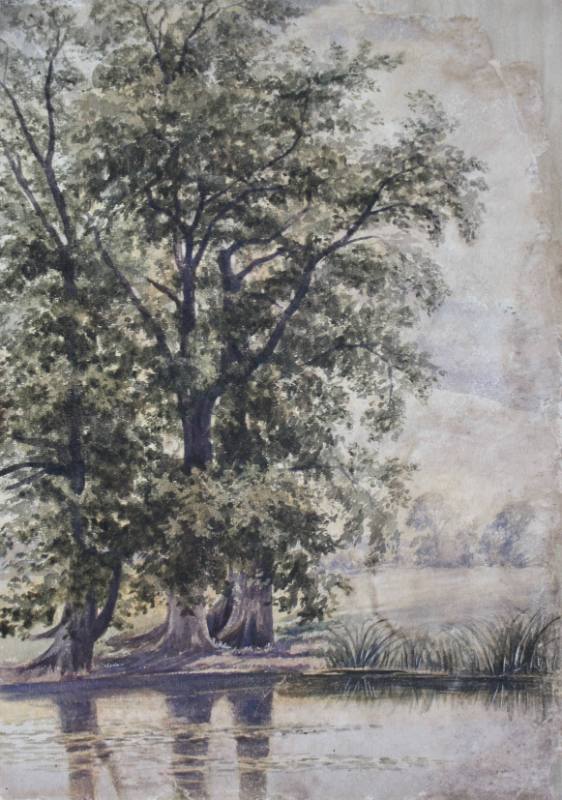 Nunhead Hill, Pond and Trees