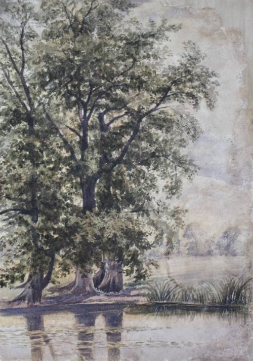 Nunhead Hill, Pond and Trees