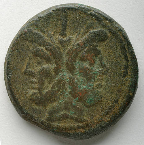 Coin