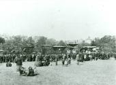 Peckham Rye Park 1894