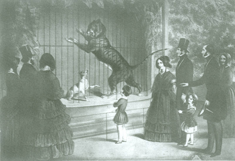 Surrey Zoological Gardens, 1848