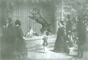 Surrey Zoological Gardens, 1848