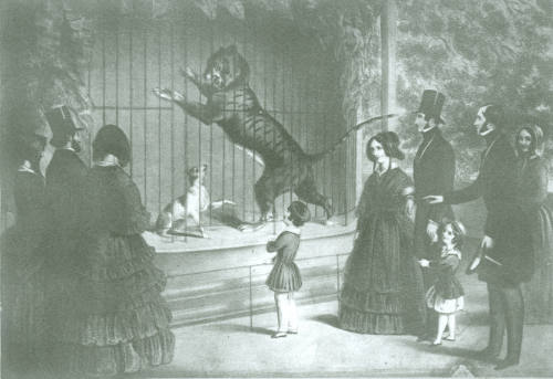Surrey Zoological Gardens, 1848