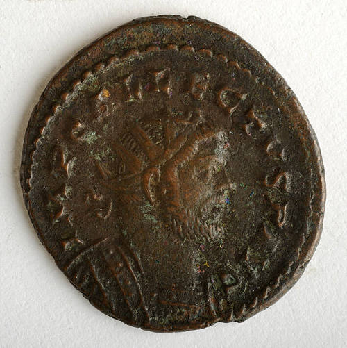 Coin