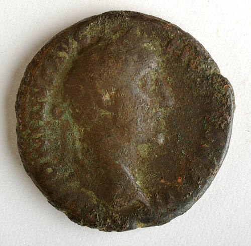 Coin