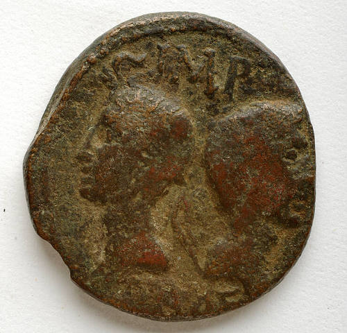 Coin