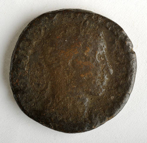 Coin