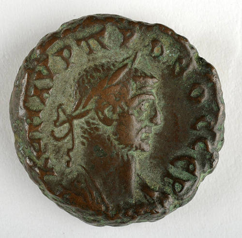 Coin