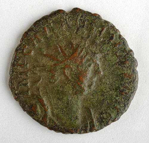 Coin