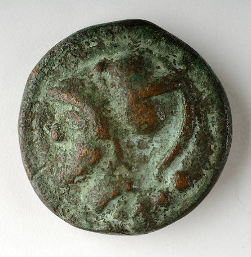 Coin