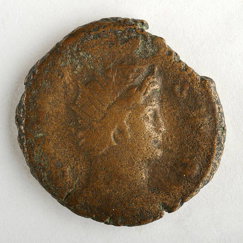 Coin