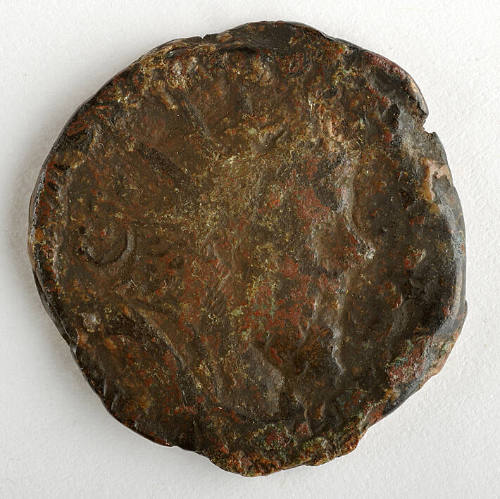 Coin
