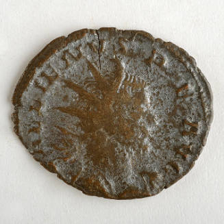Coin
