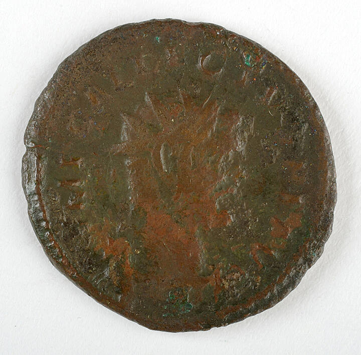 Coin