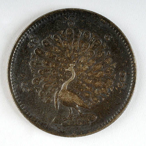 Coin