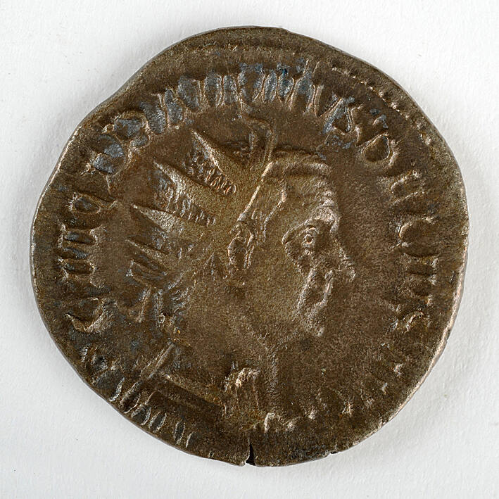 Coin