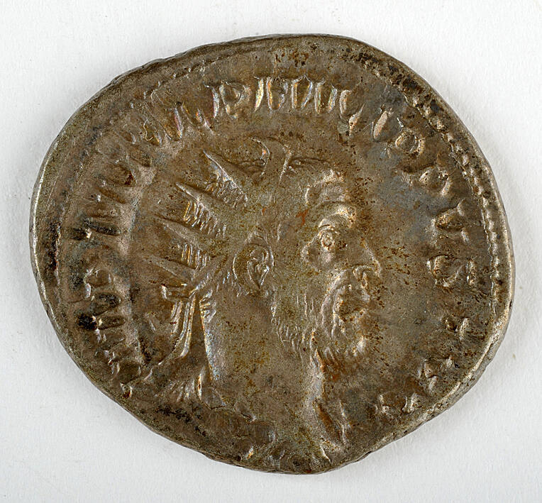 Coin