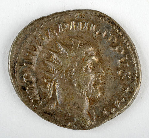 Coin