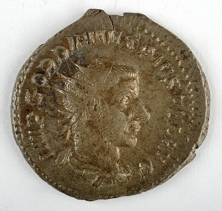 Coin