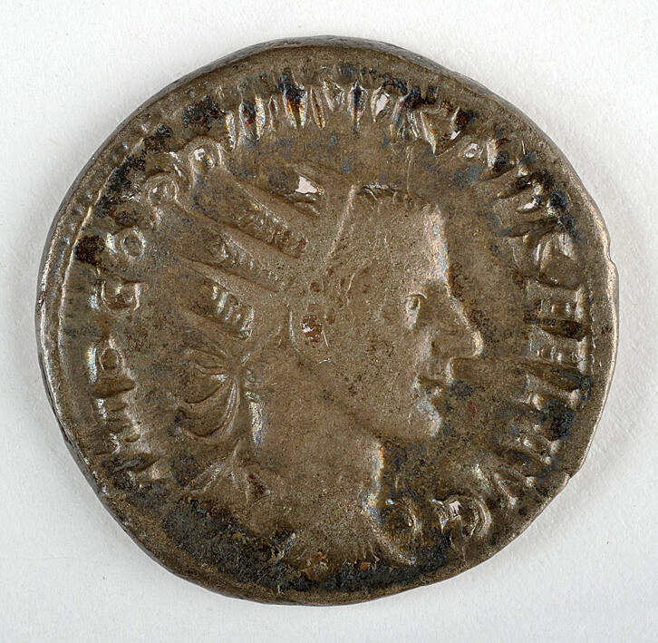 Coin