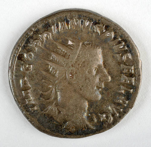 Coin