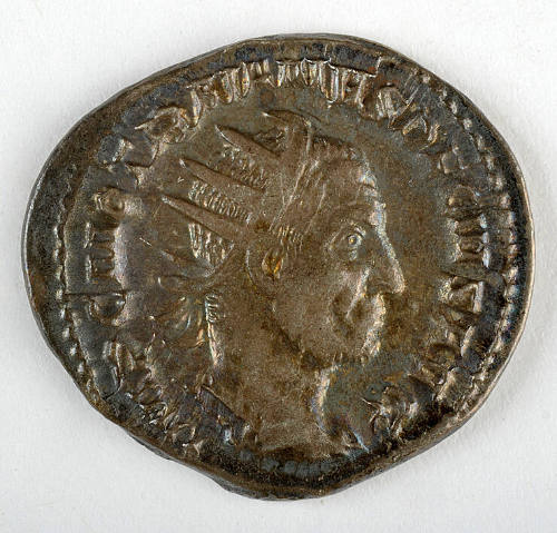 Coin