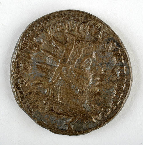 Coin