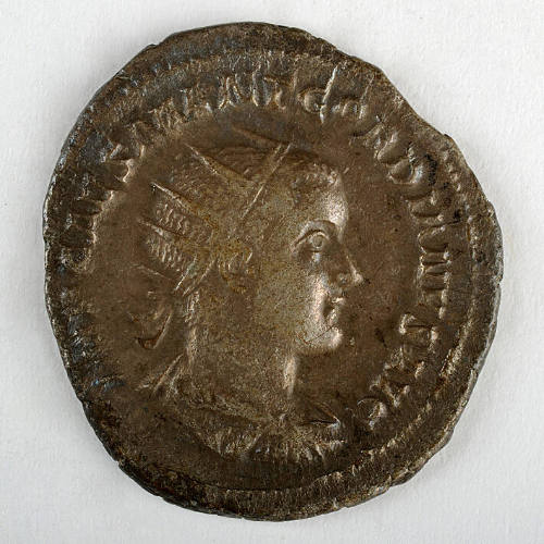 Coin