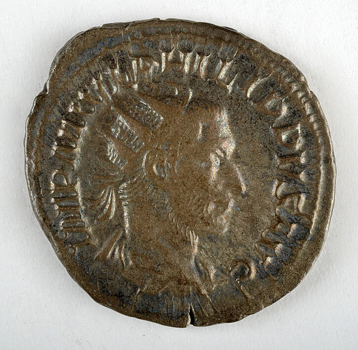 Coin