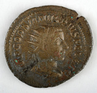 Coin