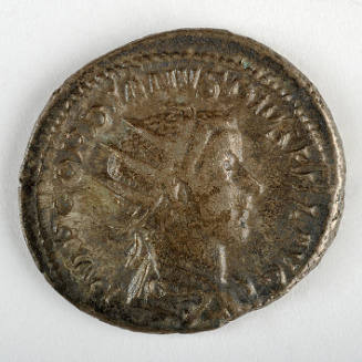 Coin