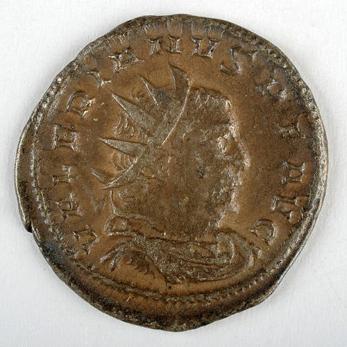 Coin