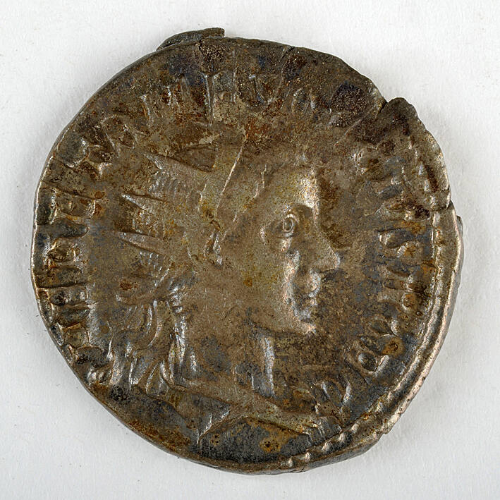 Coin