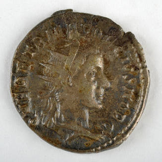 Coin