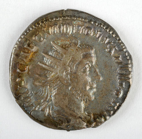 Coin