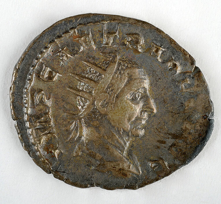 Coin