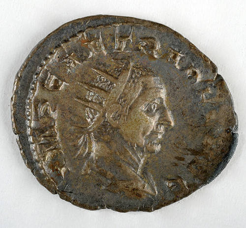 Coin