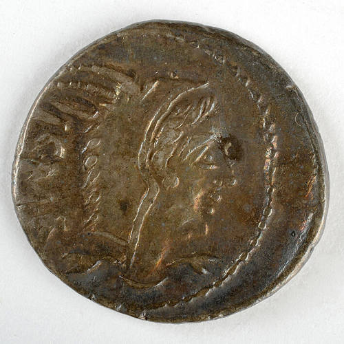 Coin