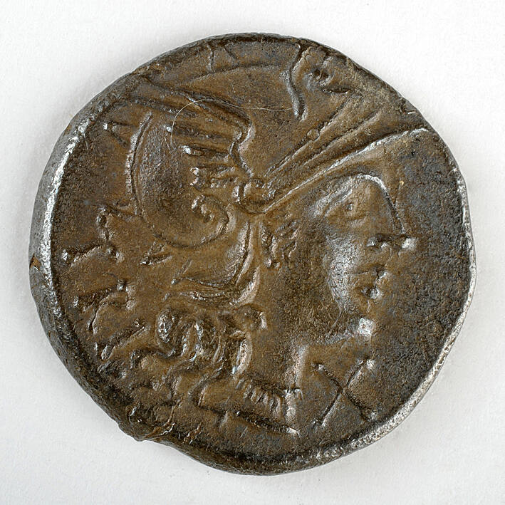 Coin