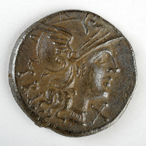 Coin