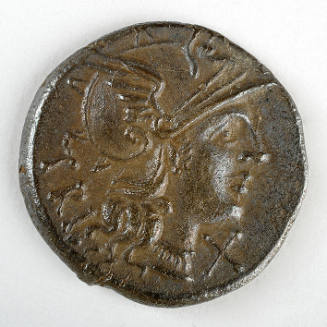 Coin