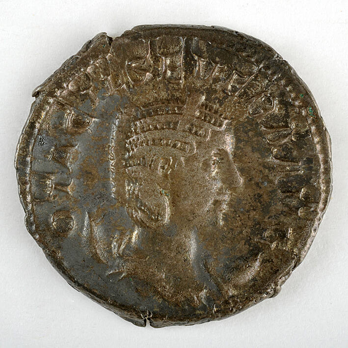 Coin