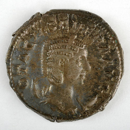 Coin